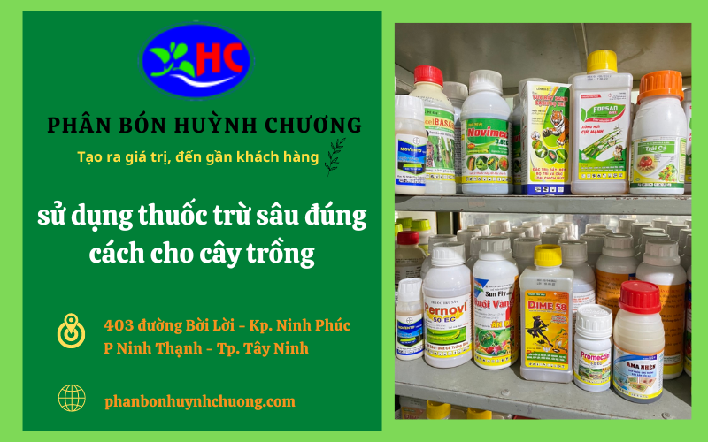 Phân bón Huỳnh Chương