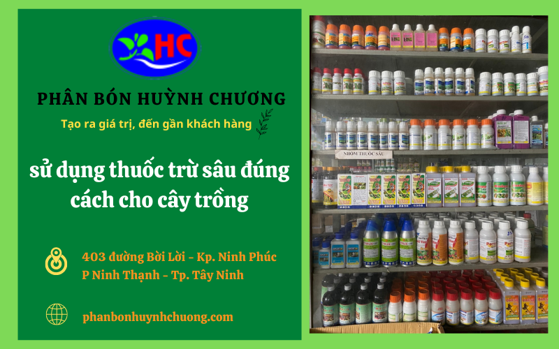 Phân bón Huỳnh Chương