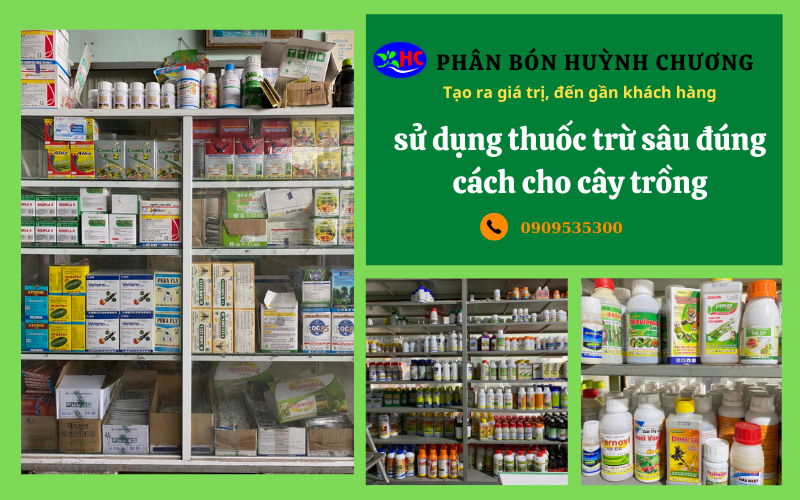 Phân bón Huỳnh Chương