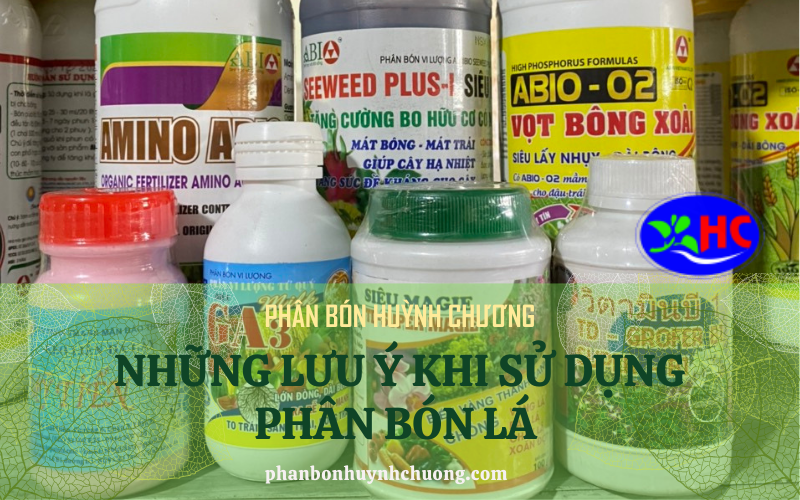 Những điều cần lưuy ý khi sử dụng phân bón lá cho cây trồng