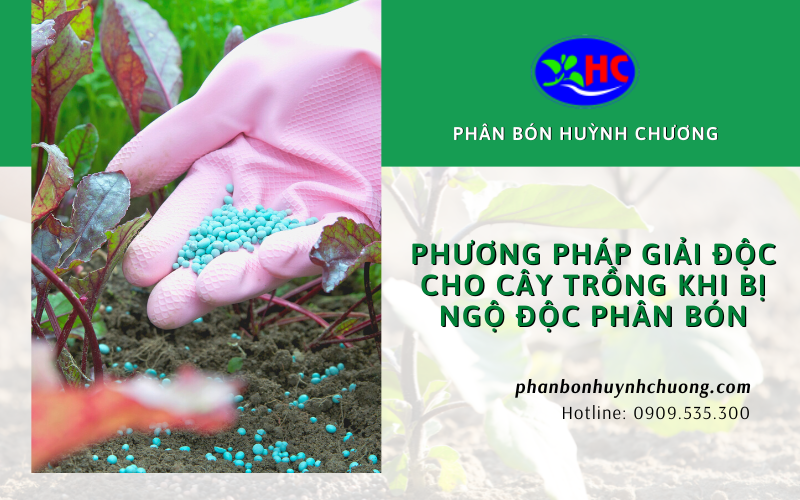 ngộ độc phân bón