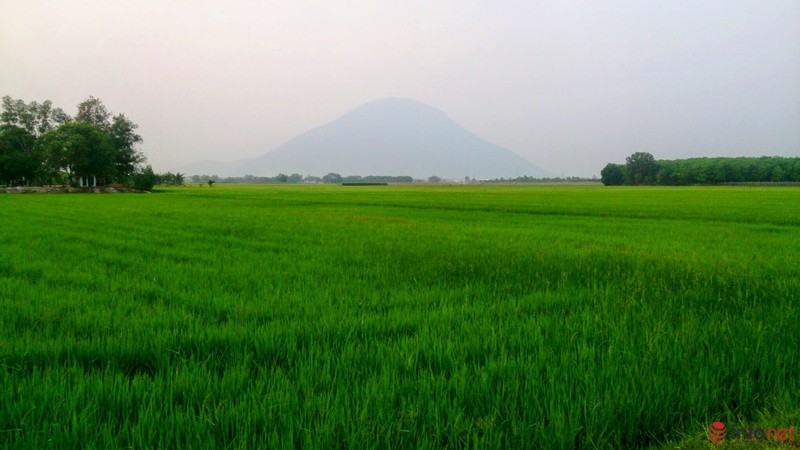 CÔNG TY TNHH HUỲNH CHƯƠNG